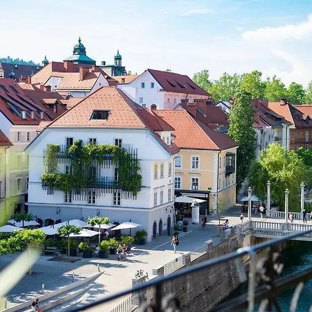 Gallus' Secret Romance * 卢布尔雅那